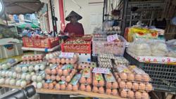 Giá trứng gà ở Việt Nam giảm sâu, sao không xuất khẩu sang Mỹ?