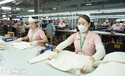 Tín hiệu vui từ các doanh nghiệp