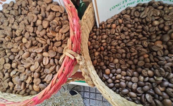 Giá cà phê hôm nay 3-2: Điều gì đã đẩy giá cà phê thế giới lên cao kỷ lục?