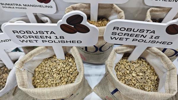 Giá cà phê hôm nay 5-2: Quay lại đà tăng, nông dân yên lòng