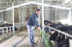 Huyện Krông Bông: Hơn 53 tỷ đồng thực hiện Chương trình mục tiêu quốc gia giảm nghèo bền vững giai đoạn 2021 - 2025