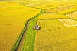 Đề xuất ưu đãi thuế cho dự án nông nghiệp