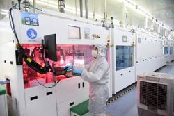 Gia tăng thị trường việc làm xanh