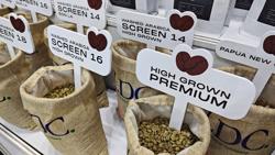 Giá cà phê hôm nay 7-2: Arabica phá kỷ lục, Robusta vượt mốc 130.000 đồng/kg