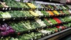 EU siết chặt quy định với nông sản tươi, doanh nghiệp Việt cần lưu ý gì?