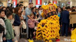 Tết Nguyên đán 2025, hàng không Việt Nam thu hút 2,5 triệu khách đi máy bay