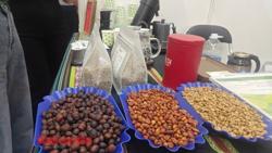 Giá cà phê hôm nay 10-3: Đà tăng có trở lại?