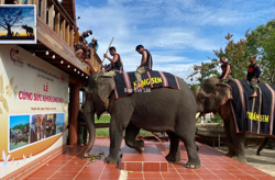 Độc đáo Lễ cúng sức khỏe cho voi tại huyện Lắk