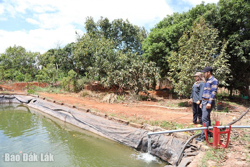 Huyện Ea H’leo: Chủ động phòng, chống hạn cho cây trồng