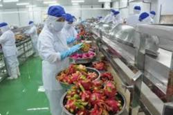 Nông sản Việt: Phát huy mặt hàng lợi thế, tăng tốc xuất khẩu