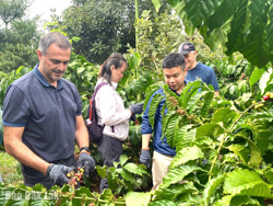 “Thủ phủ” cà phê tạo ấn tượng trong lòng du khách
