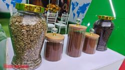 Giá cà phê hôm nay 18-3: Đồng loạt tăng mạnh