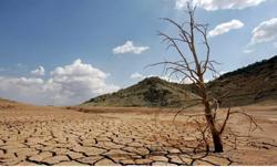 Biến đổi khí hậu và câu chuyện ứng phó từ Việt Nam