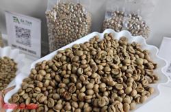 Giá cà phê hôm nay 18-3: Sắc xanh trở lại