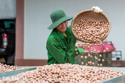 Phát triển kinh tế vùng Tây Nguyên: Đòn bẩy từ tín dụng cho nông nghiệp