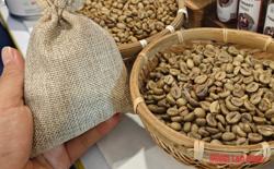 Giá cà phê hôm nay 25-3: Diễn biến trái chiều