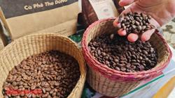 Giá cà phê hôm nay 27-3: Lao dốc không ngờ