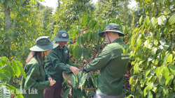 Gắn sản phẩm OCOP với du lịch trải nghiệm