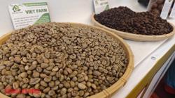 Giá cà phê hôm nay, 28-3: Lao dốc, thấp nhất 6 tuần qua