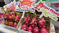 Vượt sầu riêng, thanh long bất ngờ trở lại ngôi vua xuất khẩu