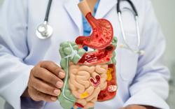 Ăn uống thất thường, dùng kháng sinh ảnh hưởng "bộ não thứ 2" thế nào?