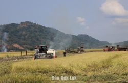 Lập Hội đồng thẩm định Điều chỉnh Quy hoạch sử dụng đất cấp huyện