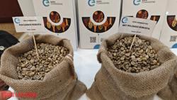 Giá cà phê hôm nay 4-3: Bật tăng cao đến không ngờ