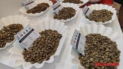 Giá cà phê hôm nay 5-3: Tăng nóng, có thể lập đỉnh 135.000 đồng/kg
