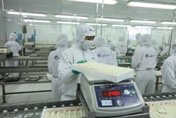 Nỗ lực giữ vững thị trường xuất khẩu