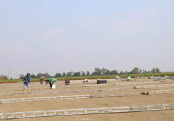 Gấp rút triển khai Dự án đầu tư xây dựng và kinh doanh kết cấu hạ tầng Khu công nghiệp Phú Xuân