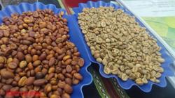 Giá cà phê hôm nay 7-3: Sụp chóng vánh