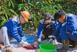 Hấp dẫn các tour du lịch