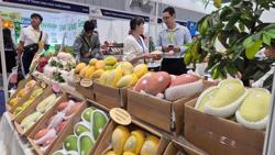 Xuất khẩu rau quả: Phải tính đường dài