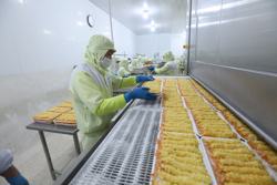 Chính sách thuế quan mới của Mỹ: Chủ động ứng phó