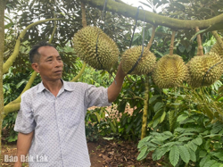 Trưởng ban công tác mặt trận làm kinh tế giỏi