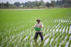 Thường vụ Quốc hội cho ý kiến kéo dài miễn thuế đất nông nghiệp