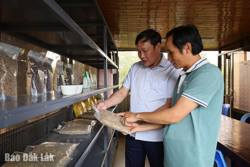 Kinh tế tập thể bắt nhịp với thời cuộc