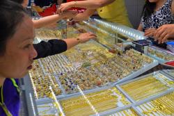 Giá vàng hôm nay 12-4: Tăng lên đỉnh cao mới