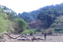 Xây dựng phương án vốn hiệu quả triển khai Dự án RECAF tỉnh Đắk Lắk