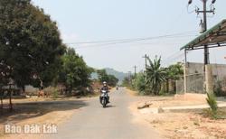 Đắk Lắk: Rà soát, chuẩn hóa số liệu Tổng kiểm kê tài sản công trước ngày 16/4