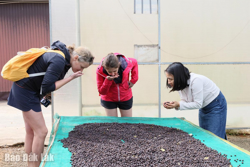 Ngành hàng cà phê trước viễn cảnh thuế đối ứng từ Hoa Kỳ: Sẵn sàng thích ứng