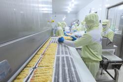 Gỡ khó cho xuất khẩu nông sản