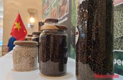 Giá tiêu hôm nay 14-4: Đỉnh giá còn ở phía trước?