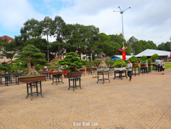 TP. Buôn Ma Thuột: Dự kiến 1.400 tác phẩm dự Triển lãm, trưng bày và thi sinh vật cảnh lần thứ II