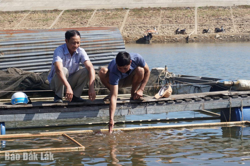 Nâng cao thu nhập nhờ nuôi trồng thủy sản