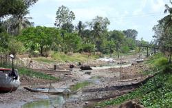 Chủ động ứng phó với khô hạn