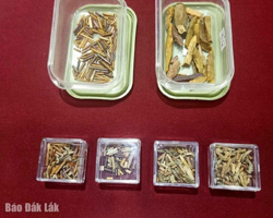 Khai quật di chỉ Thác Hai lần thứ tư