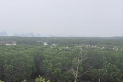 Chuẩn bị thí điểm sàn giao dịch carbon: Nhiều doanh nghiệp vẫn loay hoay