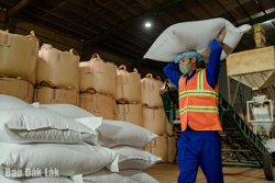 Trước những gam màu chưa sáng...