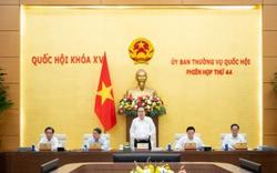 Tên gọi của xã sau sắp xếp cần dễ đọc, dễ nhớ, ngắn gọn